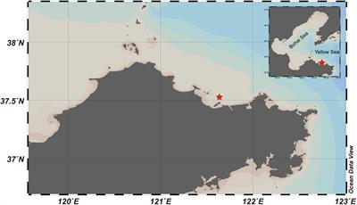 Response of a Coastal Microbial Community to Olivine Addition in the Muping Marine Ranch, Yantai